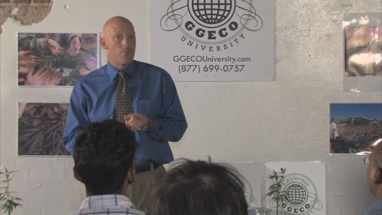 Cannabis Business - Professor Bret from Apothecary Genetics