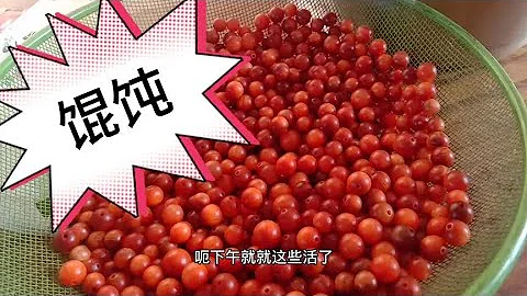 山村畫卷：熱愛邊境生活，傳遞綠色文化之美 32 - 天天要聞