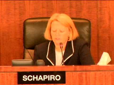 Chairman Schapiro's Opening Statement on Target Da...