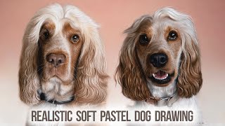 Realistic Dog Portrait Art Time-lapse | Show Cocker Spaniels by Shaymus Art Tutorials 3,643 views 2 years ago 11 minutes, 41 seconds