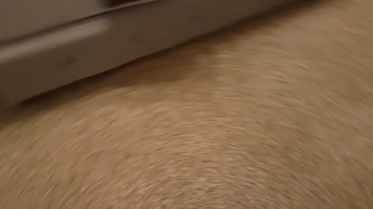 Apartment carpet cleaning in Austin Texas. YouTube
