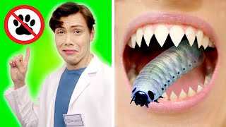 видео: 9 Способов ПРОНЕСТИ ПИТОМЦЕВ В БОЛЬНИЦУ! Потрясающие Идеи С Домашними Животными от GOTCHA! Russian! картинка: 9 Способов ПРОНЕСТИ ПИТОМЦЕВ В БОЛЬНИЦУ! Потрясающие Идеи С Домашними Животными от GOTCHA! Russian!