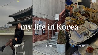 влог из жизни в Корее | гуляем по Сеулу | работа маркетологом