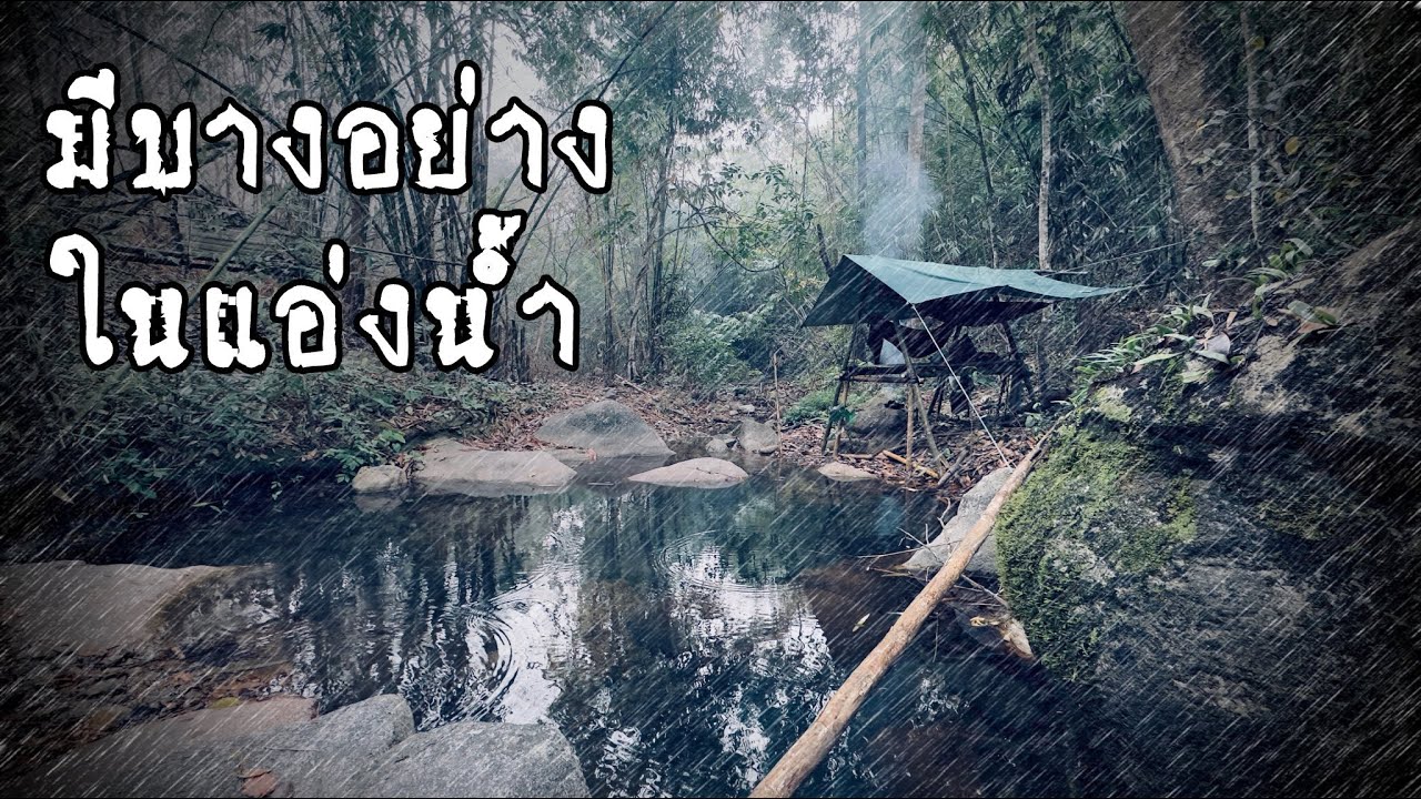 นอนป่าในวันฝนตก สำรวจที่พักเก่าหลังไฟป่ามา ตกดึกเหมือนมีบางดังอยู่ในแอ่งน้ำในความมืด