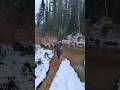 Отшельник с рыбой и болотниками Сухой пит 13 октября 2024