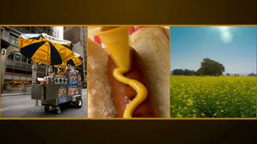 Rick Mercer: Mustard Pipeline | CBC