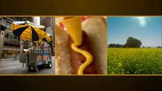 Rick Mercer: Mustard Pipeline | CBC