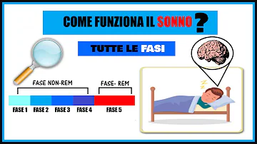 In quale fase del sonno ci si riposa?