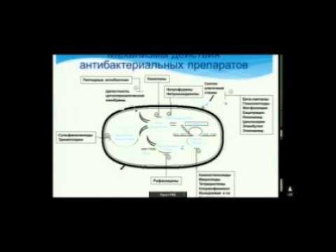 Актуальные проблемы антибиотикотерапии в амбулаторной практике и в стационаре