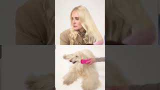 Pet Teezer - Anastasia Kit Bentley Heidi Obi Mr Moose