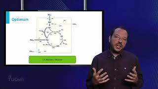 Information IB01x_2017_3.8_Introduction_to_metabolic_flux_analysis-video Guide