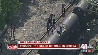 Person dies after being hit by train