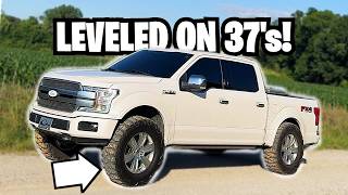 I Bought My DREAM F-150 PLATINUM 5.0! (Leveled on 37s)