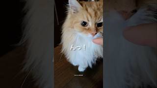 休み明けは体が重いかも…