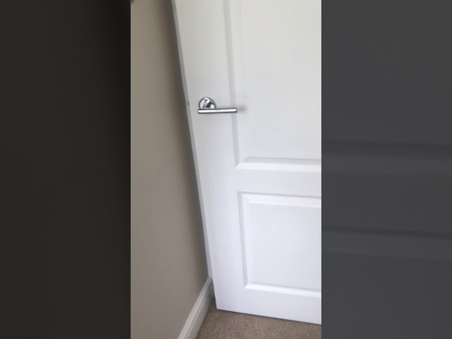 Video 1:
