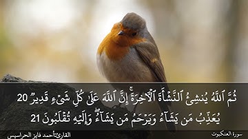 الصفحة 398 سورة العنكبوت بصوت القارئ المهندس أحمد فايز الحراسيس
