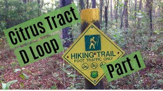 Citrus Tract - D Loop, part one