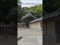 70 Minutes of Pure ASMR Ambience | Minoh Falls Nature Walk | Minoh Japan | #asmr #nature #japan