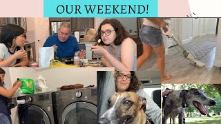 WEEKEND CLEAN WITH ME + GREYHOUND VOLUNTEER EXPERIENCE by Ringabag 427 views 3 years ago 14 minutes, 19 seconds