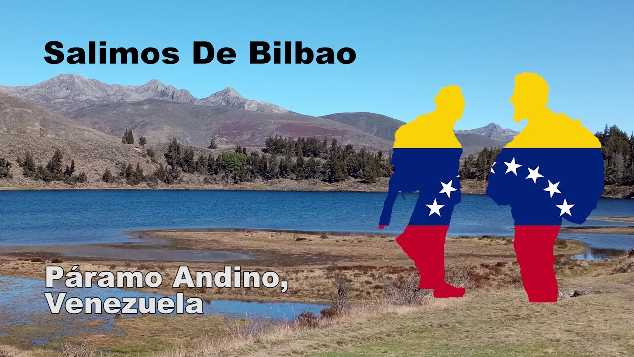 🦅 Páramo andino de Mérida y Laguna de Mucubají en Venezuela