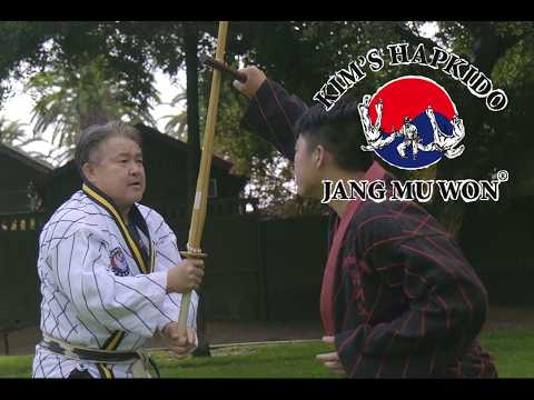 More Than Martial Arts: Discover Jang Mu Won Hapkido