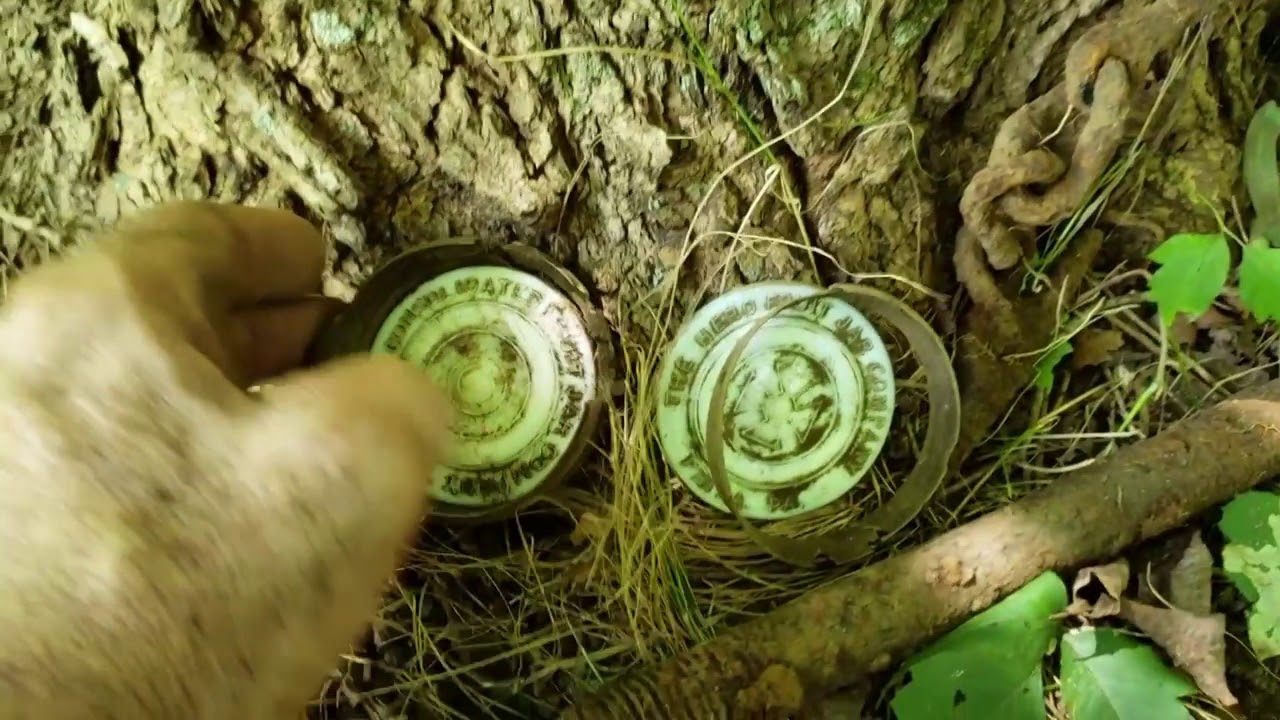 Metal Detecting deep in the woods of New Jersey !!! YouTube