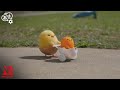 Gudetama Ukulele Serenade | Gudetama: An Eggcellent Adventure | Clip | Netflix Anime