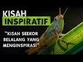 Kisah Belalang yang Menginspirasi 🦗