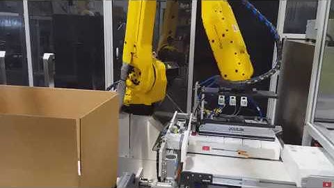 CEL5 Robotic Case Packer for Bundles with Integrated Serialization