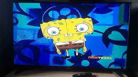 Whobob whatpants theme song