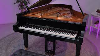 Matteo Messori - Taleas Croisées , An Isorhythmic Improptu