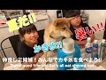 『犬と子供の日常』大好きなかき氷で皆でパーティーをする浪速の柴犬