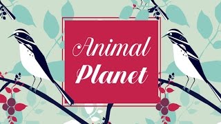 Estampa Script font download Estampa Script font download