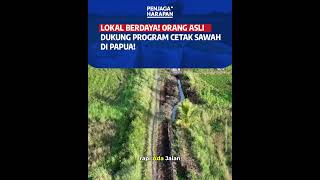 Lokal Berdaya! Orang Asli Dukung Program Cetak Sawah Di Papua!