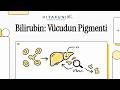 Bilirubin Yüksekliği Nedir? Nasıl Düşürülür?
