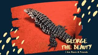 George The Beauty | I Am George | The Tegu & Animal Compilation 20201| Touch Me by PROFESSOR KLIQ