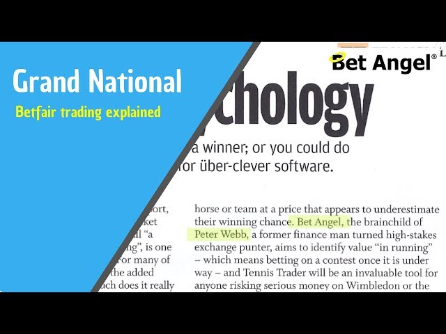 Betfair trading explained via the Grand National | BBC Interview