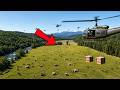 North Carolina Released 52 Elk Into Dying Mountains — What Happened to This Valley Is Unexpected