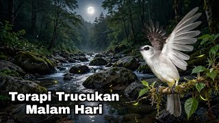 TERAPI TRUCUKAN MALAM HARI cara AMPUH MENGATASI TRUCUKAN STRES macet bunyi