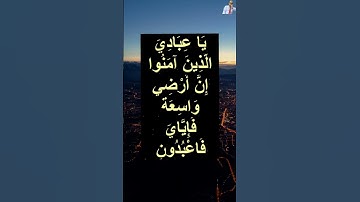 #تلاوة_خاشعة #عبدالرحمن_مسعد