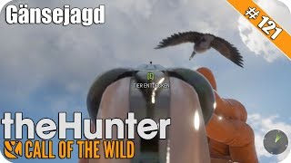 TheHunter CotW: Goose hunting with camouflage bed, shotgun, and dummies | Let's Play screenshot 5