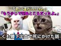 くも膜下出血で死にかけた話 #猫ミーム