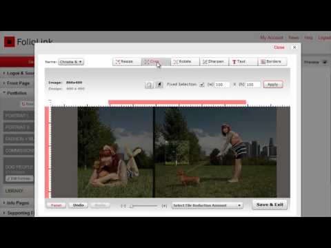 Using the Image Editor Within FolioLink