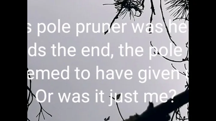 2020 Video 1: STIHL HT 133 Telescopic pole pruner