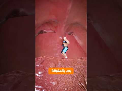 ما هي وضيفة اللهاة