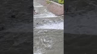 Orhan Balpetek - Kına Yak Eline (Resmi Kesit) 🎬