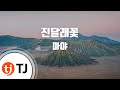 TJ노래방 남자키 진달래꽃 마야 TJ Karaoke TJ노래방 남자키 진달래꽃 마야 TJ Karaoke
