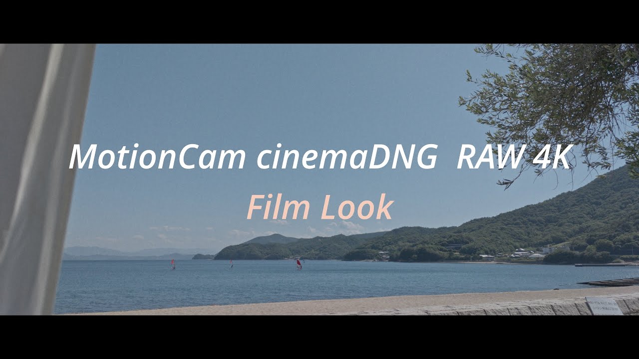 MotionCam PRO CinemaDNG 4k RAW with Android Smartphone /arrows NX9 F