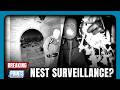 Guthrie Nest Footage EXPOSES Google SURVEILLANCE