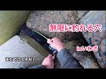 【いわきで無限に釣れる穴を発見。穴釣り&ちょい投げ釣り】青イソメvsキビナゴどっちが釣れるの?検証